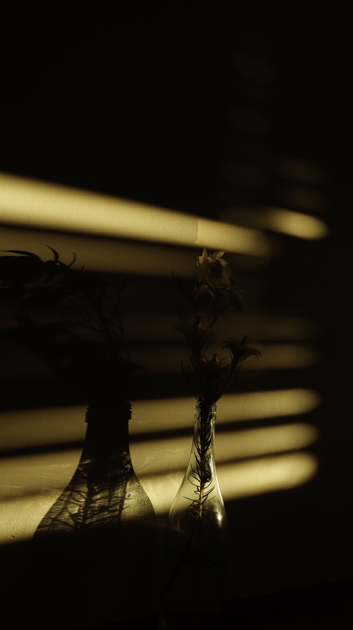 Two bottles with dried flowers